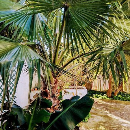 Cozy 3 Bedroom Home - Close To Beach Lourinhã Zewnętrze zdjęcie