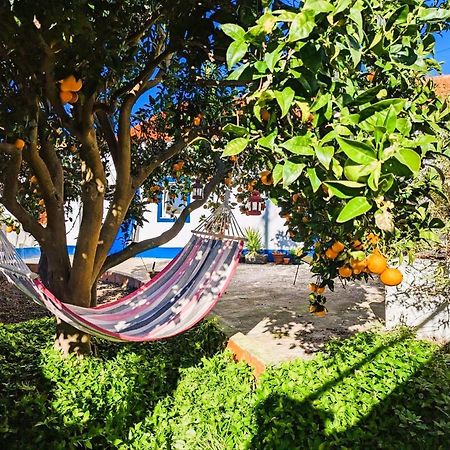 Cozy 3 Bedroom Home - Close To Beach Lourinhã Zewnętrze zdjęcie