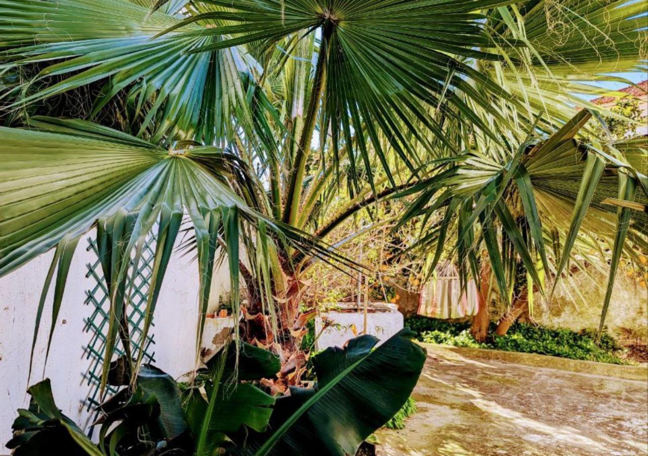Cozy 3 Bedroom Home - Close To Beach Lourinhã Zewnętrze zdjęcie