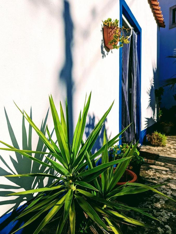 Cozy 3 Bedroom Home - Close To Beach Lourinhã Zewnętrze zdjęcie